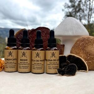 Collection of functional Mushroom Tinctures in glass dropper bottles with natural mushrooms
